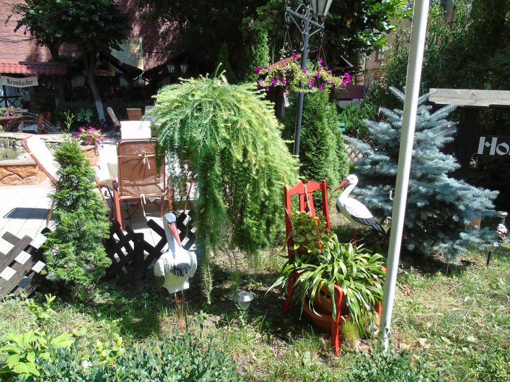 Knaus Apartments Chernivtsi Exterior foto